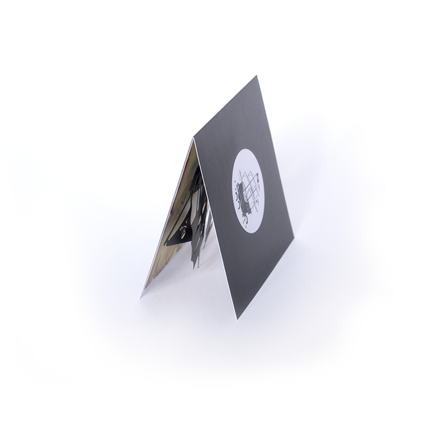 Объемная 3D открытка «Пиратская команда»